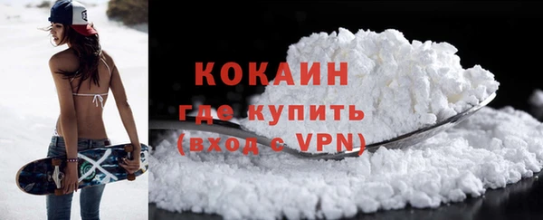 стафф Заводоуковск
