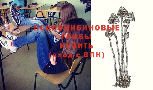 стафф Заводоуковск