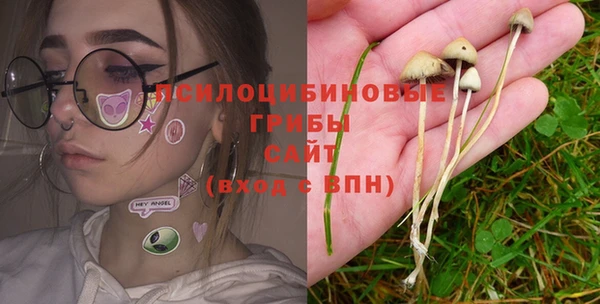 стафф Заводоуковск