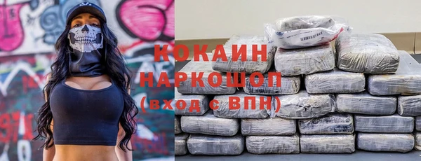 стафф Заводоуковск