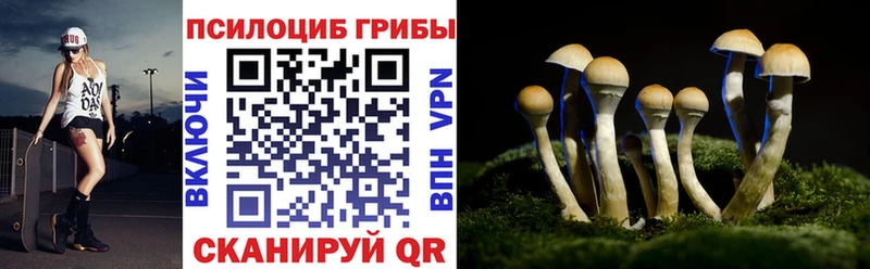 Галлюциногенные грибы MAGIC MUSHROOMS  Купить где  Лобня 